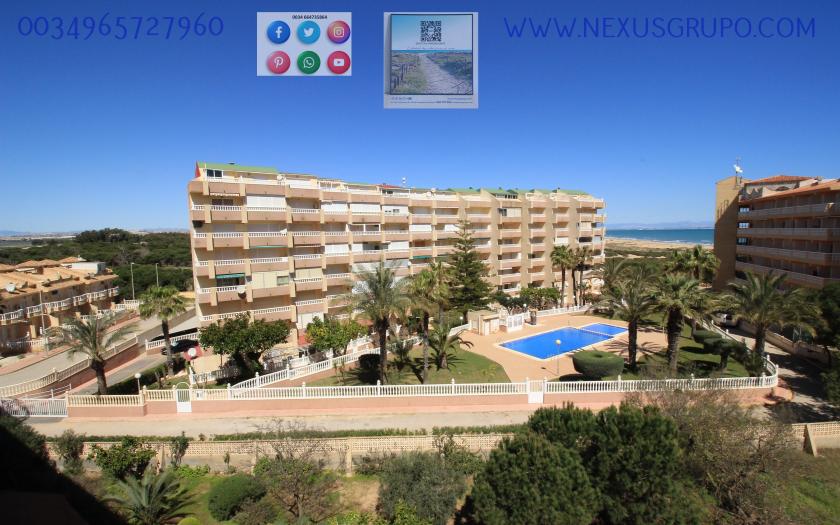 Real Estate Grupo Nexus Rent Penthouse in la Mata- Torrevieja for the whole year..... in Nexus Grupo