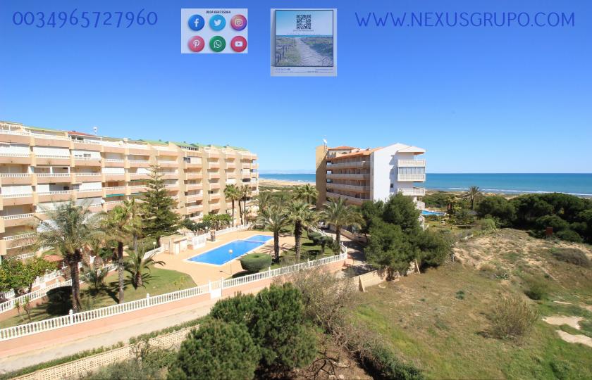 INMOBILIARIA GRUPO NEXUS ALQUILA ÁTICO EN LA MATA- TORREVIEJA, PARA TODO EL AÑO.... in Nexus Grupo