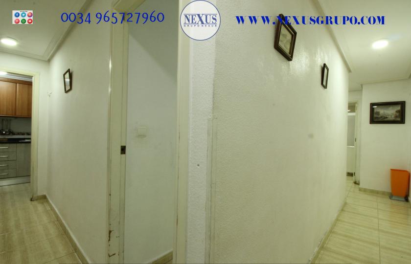 2 Slaapkamer Appartement in Guardamar del Segura - Verhuur in Nexus Grupo