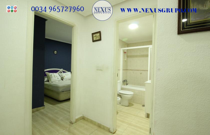 INMOBILIARIA GRUPO NEXUS RENT APARTMENT FOR ALL YEAR ROUND in Nexus Grupo