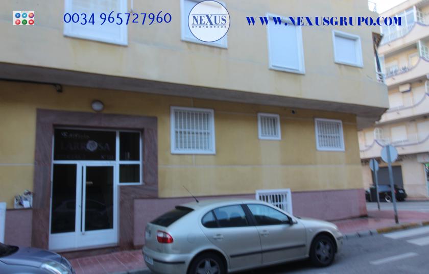 INMOBILIARIA GRUPO NEXUS RENT APARTMENT FOR ALL YEAR ROUND in Nexus Grupo