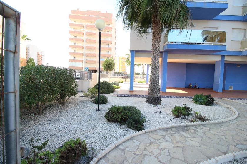 3 Slaapkamer Appartement in Guardamar del Segura - Verhuur in Nexus Grupo