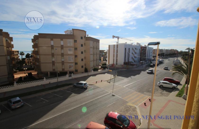 2 Slaapkamer Appartement in Guardamar del Segura - Verhuur in Nexus Grupo