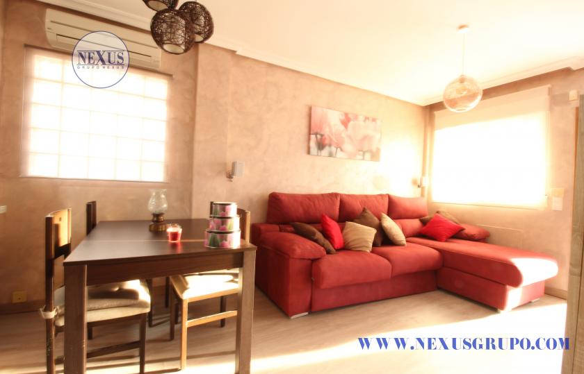 REAL ESTATE GROUP NEXUS RENT BUNGALOW IN GROUND FLOOR FOR ALL THE YEAR in Nexus Grupo