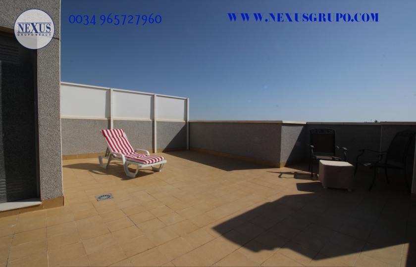 2 Slaapkamer Duplex appartement in Guardamar del Segura - Verhuur in Nexus Grupo