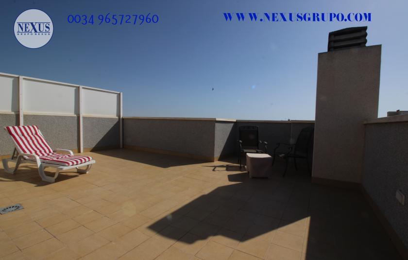 2 Slaapkamer Duplex appartement in Guardamar del Segura - Verhuur in Nexus Grupo