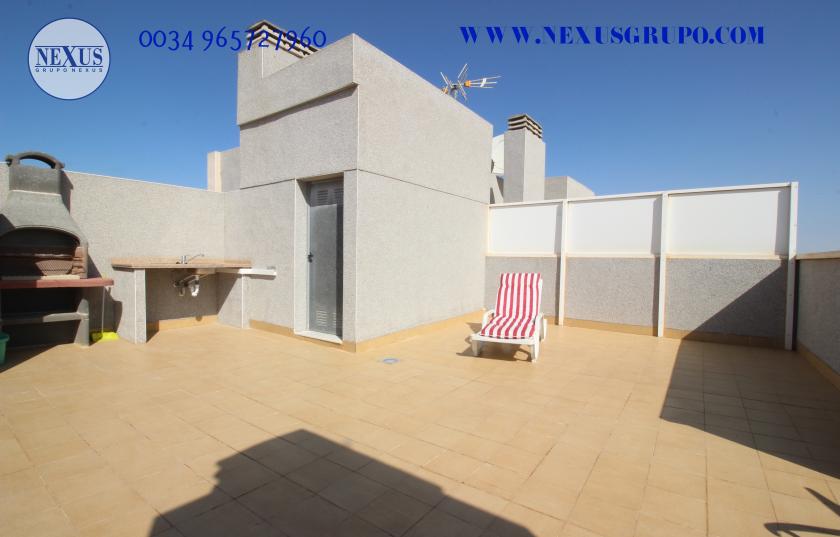 2 Slaapkamer Duplex appartement in Guardamar del Segura - Verhuur in Nexus Grupo