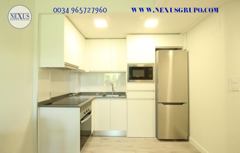 GRUPO NEXUS REAL ESTATE RENT APARTMENT FOR THE WHOLE YEAR in Nexus Grupo