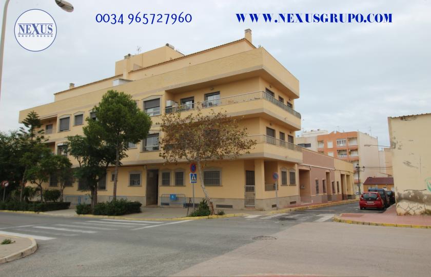 GRUPO NEXUS REAL ESTATE RENT APARTMENT FOR THE WHOLE YEAR in Nexus Grupo