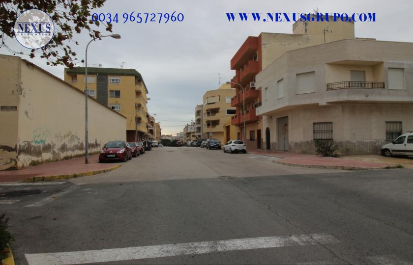 2 Slaapkamer Appartement in Guardamar del Segura - Verhuur in Nexus Grupo