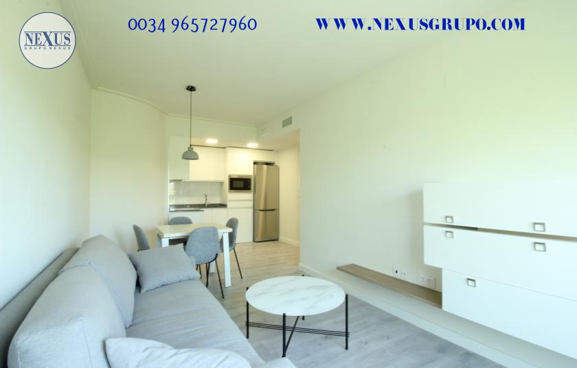 GRUPO NEXUS REAL ESTATE RENT APARTMENT FOR THE WHOLE YEAR in Nexus Grupo