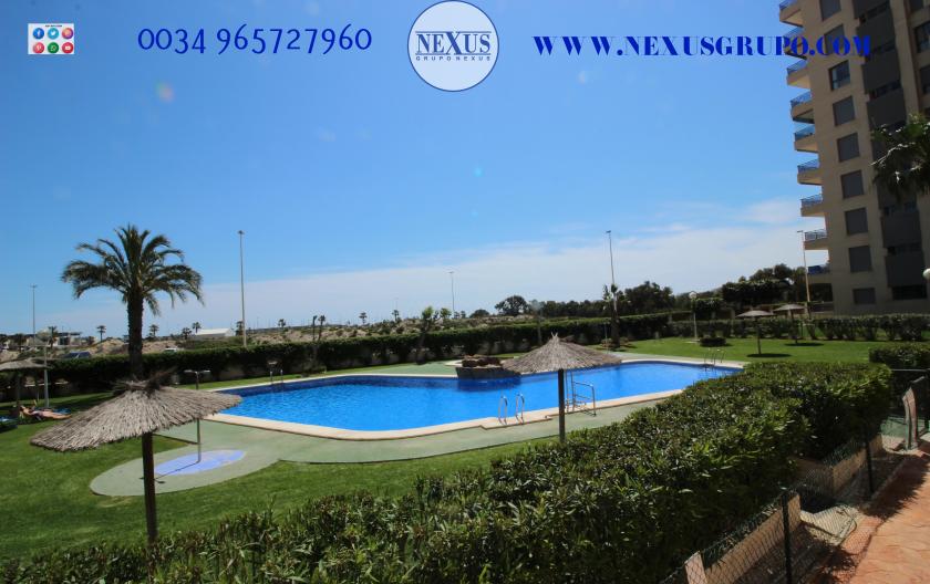 INMOBILIARIA GRUPO NEXUS ALQUILA ÁTICO DUPLEX, FRENTE PUERTO DEPORTIVO DE GUARDAMAR DEL SEGURA in Nexus Grupo