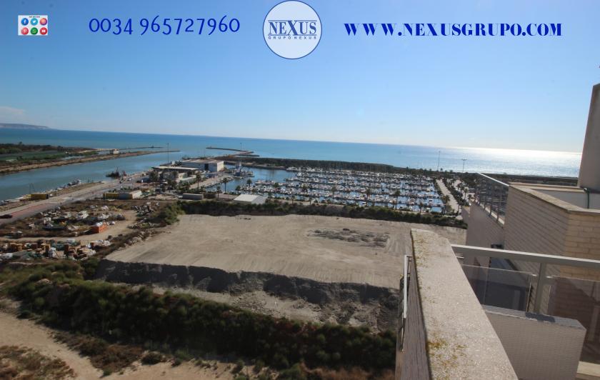 INMOBILIARIA GRUPO NEXUS ALQUILA ÁTICO DUPLEX, FRENTE PUERTO DEPORTIVO DE GUARDAMAR DEL SEGURA in Nexus Grupo