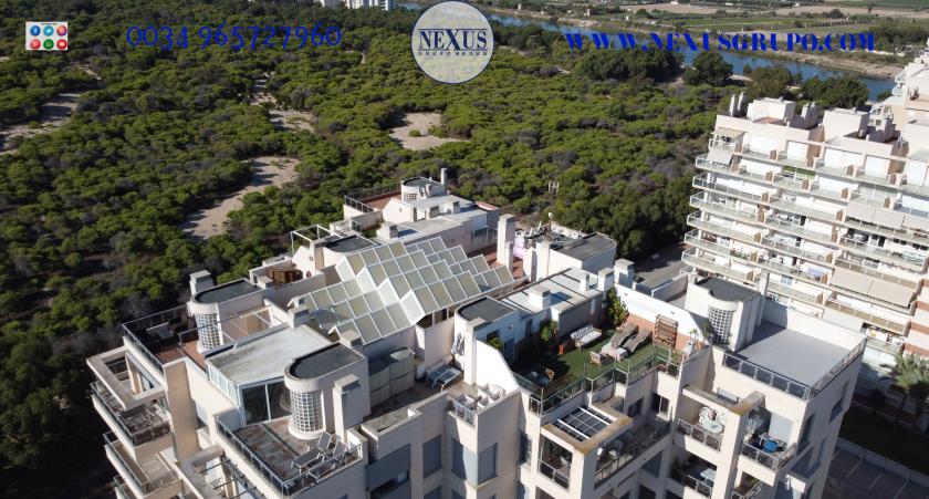 2 Slaapkamer Duplex penthouse in Guardamar del Segura - Verhuur in Nexus Grupo