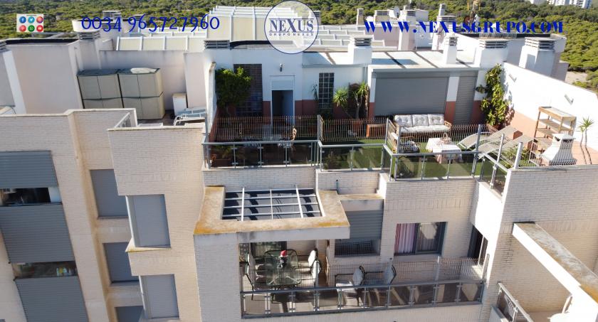 INMOBILIARIA GRUPO NEXUS ALQUILA ÁTICO DUPLEX, FRENTE PUERTO DEPORTIVO DE GUARDAMAR DEL SEGURA in Nexus Grupo