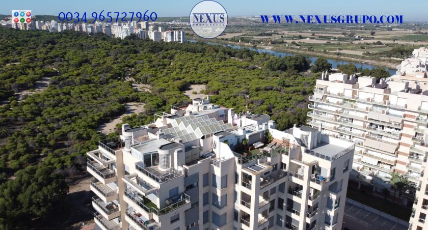 INMOBILIARIA GRUPO NEXUS RENT DUPLEX PENTHOUSE, PŘEDNÍ PUERTO DEPORTIVO DE GUARDAMAR DEL SEGURA in Nexus Grupo