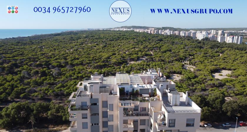 INMOBILIARIA GRUPO NEXUS RENT DUPLEX PENTHOUSE, PŘEDNÍ PUERTO DEPORTIVO DE GUARDAMAR DEL SEGURA in Nexus Grupo