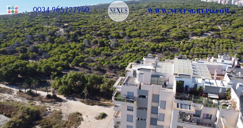 2 Slaapkamer Duplex penthouse in Guardamar del Segura - Verhuur in Nexus Grupo