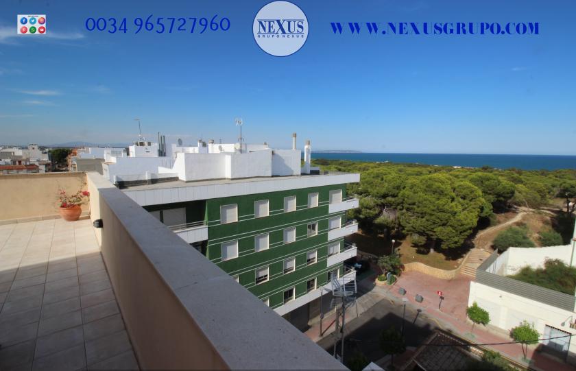 INMOBILIARIA GRUPO NEXUS RENT DUPLEX PENTHOUSE CENTRUM GUARDAMARU in Nexus Grupo