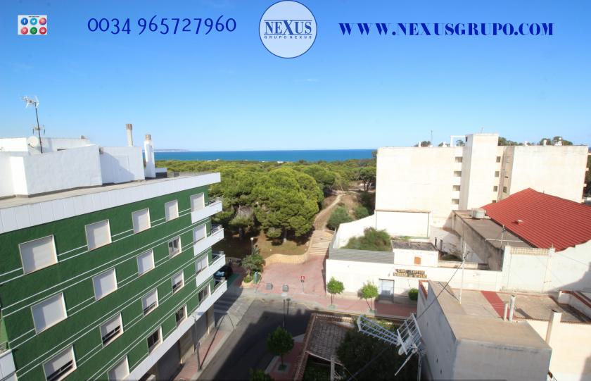 INMOBILIARIA GRUPO NEXUS RENT ATTIC DUPLEX CENTRO DE GUARDAMAR in Nexus Grupo