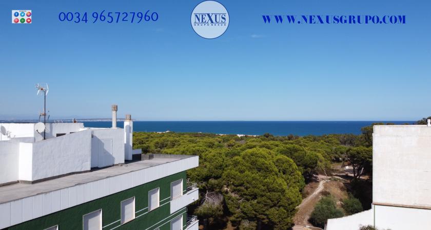 INMOBILIARIA GRUPO NEXUS RENT DUPLEX PENTHOUSE CENTRUM GUARDAMARU in Nexus Grupo