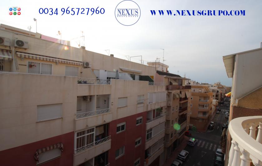 2 Slaapkamer Penthouse in Torrevieja - Verhuur in Nexus Grupo