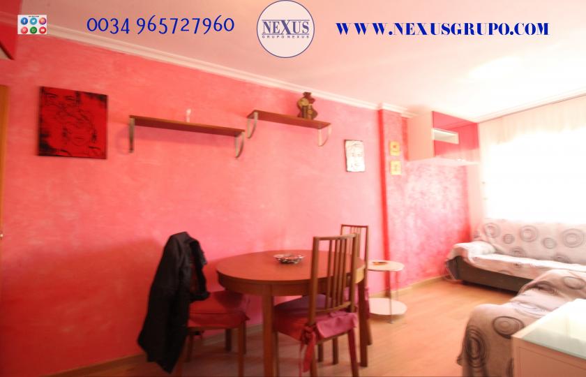 REAL ESTATE GROUP NEXUS RENTAL APARTMENT FOR ALL THE YEAR in Nexus Grupo