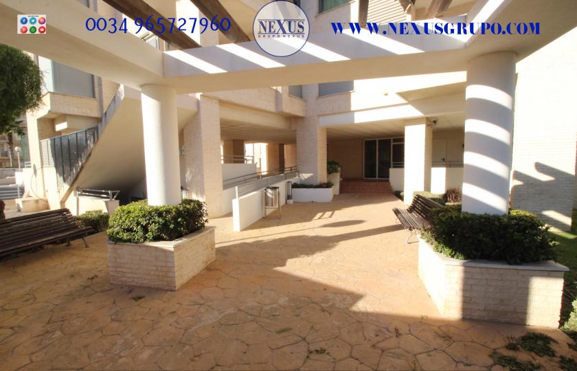 INMOBILIARIA GRUPO NEXUS RENT APARTMENT FOR ALL YEAR ROUND in Nexus Grupo