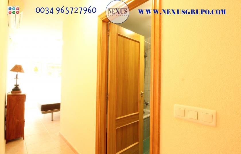 INMOBILIARIA GRUPO NEXUS RENT APARTMENT FOR ALL YEAR ROUND in Nexus Grupo