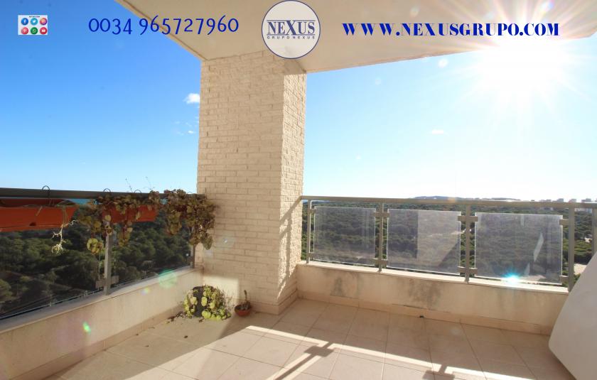 2 Slaapkamer Appartement in Guardamar del Segura - Verhuur in Nexus Grupo