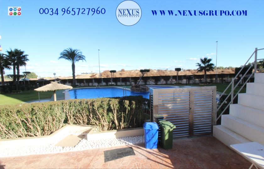 2 Slaapkamer Appartement in Guardamar del Segura - Verhuur in Nexus Grupo