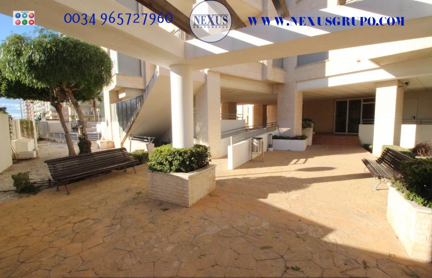 INMOBILIARIA GRUPO NEXUS RENT APARTMENT FOR ALL YEAR ROUND in Nexus Grupo