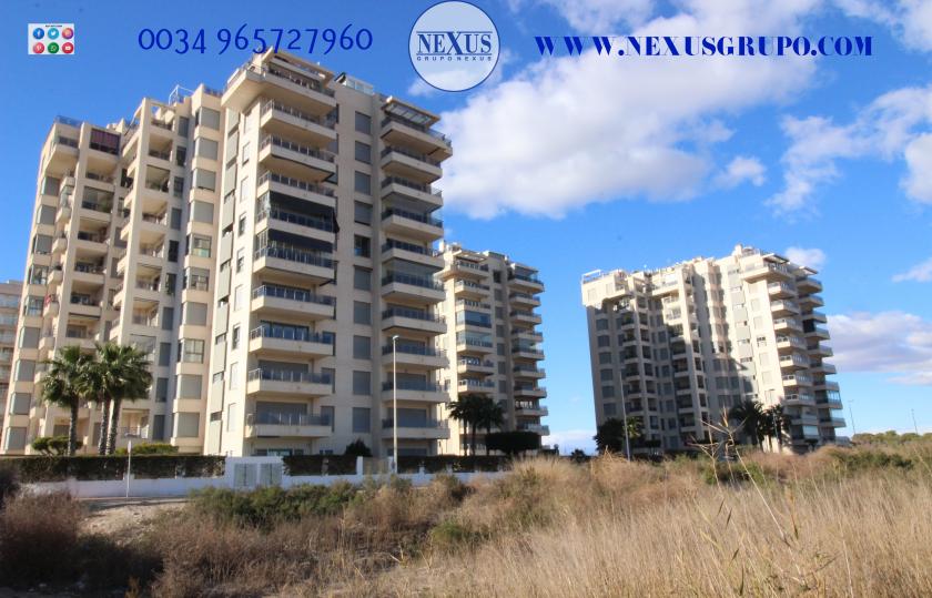 INMOBILIARIA GRUPO NEXUS ALQUILA APARTAMENTO PARA TODO EL AÑO in Nexus Grupo