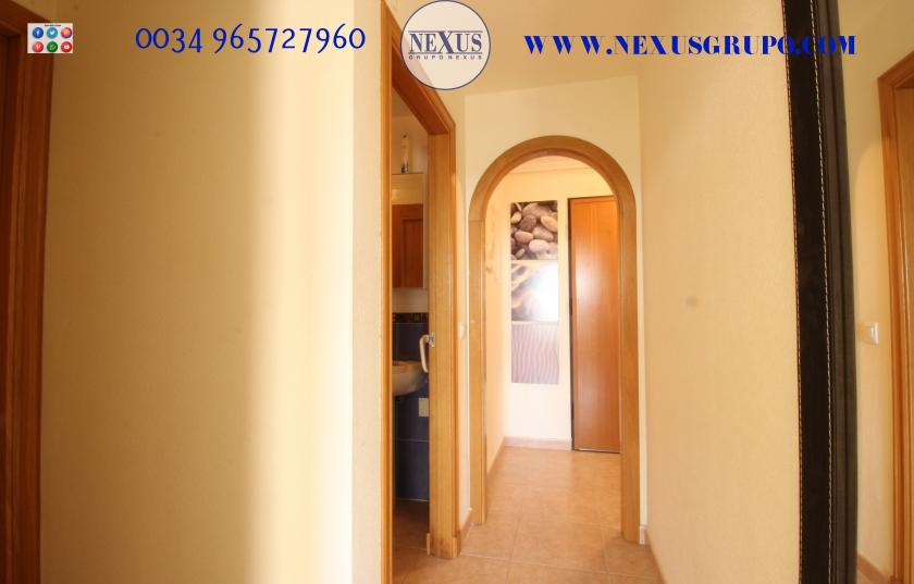 2 Slaapkamer Appartement in Guardamar del Segura - Verhuur in Nexus Grupo