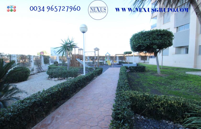 INMOBILIARIA GRUPO NEXUS RENT APARTMENT FOR ALL YEAR ROUND in Nexus Grupo