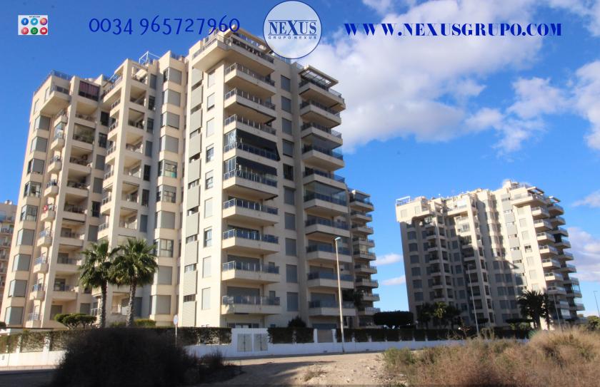 INMOBILIARIA GRUPO NEXUS RENT APARTMENT FOR ALL YEAR ROUND in Nexus Grupo