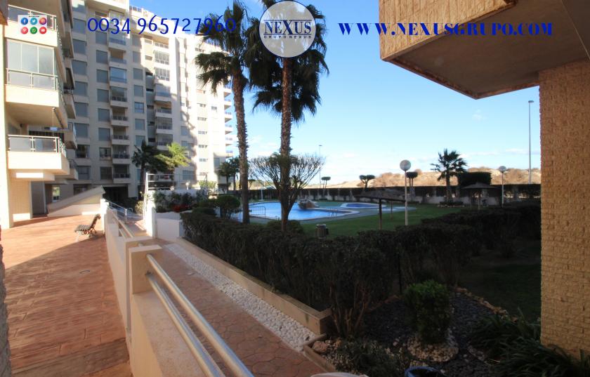 INMOBILIARIA GRUPO NEXUS RENT APARTMENT FOR ALL YEAR ROUND in Nexus Grupo