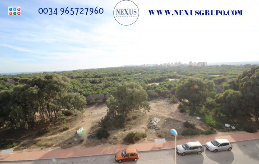 2 Slaapkamer Appartement in Guardamar del Segura - Verhuur in Nexus Grupo