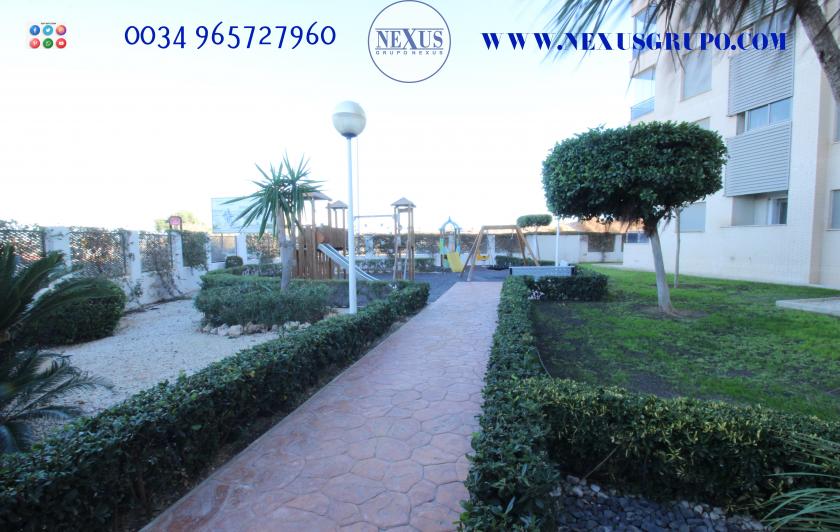 INMOBILIARIA GRUPO NEXUS RENT APARTMENT IN PUERTO MARINO FOR THE WHOLE YEAR in Nexus Grupo