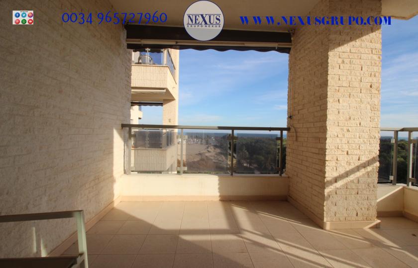 2 Slaapkamer Appartement in Guardamar del Segura - Verhuur in Nexus Grupo