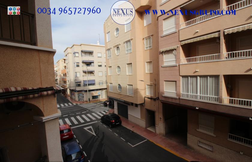 INMOBILIARIA GRUPO NEXUS ALQUILA APARTAMENTO EN CALLE DE LA PAZ GUARDAMAR DEL SEGURA in Nexus Grupo