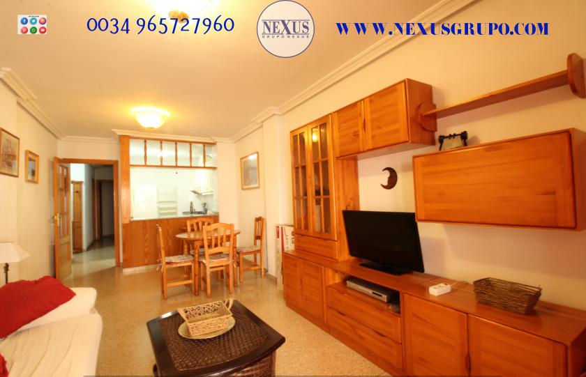 INMOBILIARIA GRUPO NEXUS RENT APARTMÁN V CALLE DE LA PAZ GUARDAMAR DEL SEGURA in Nexus Grupo