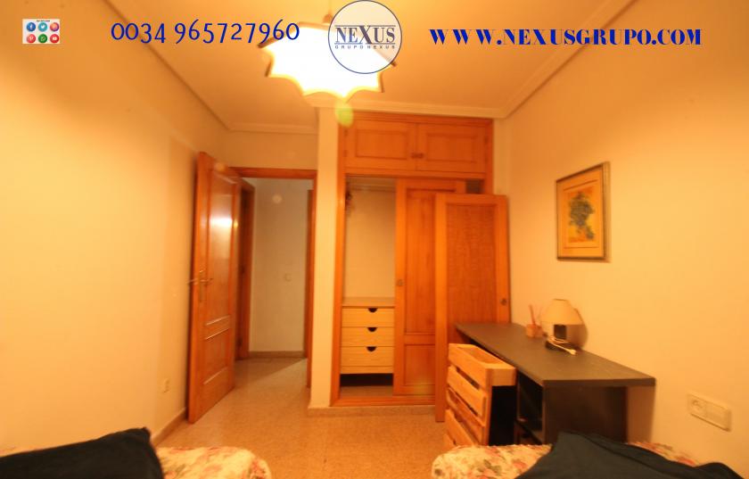 INMOBILIARIA GRUPO NEXUS ALQUILA APARTAMENTO EN CALLE DE LA PAZ GUARDAMAR DEL SEGURA in Nexus Grupo