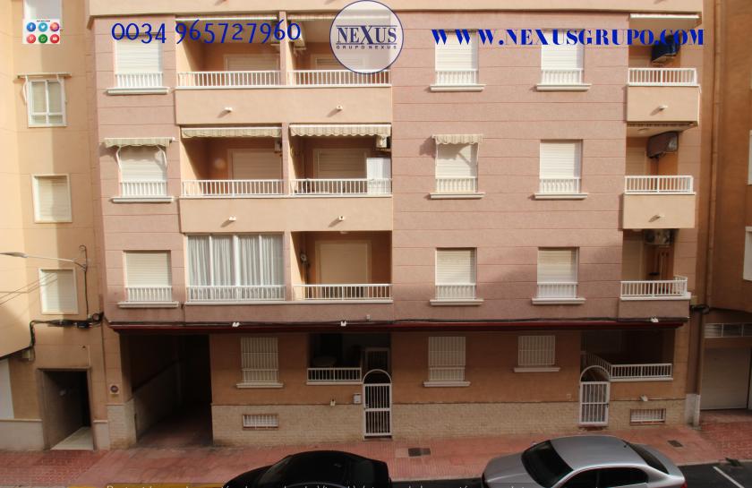 INMOBILIARIA GRUPO NEXUS ALQUILA APARTAMENTO EN CALLE DE LA PAZ GUARDAMAR DEL SEGURA in Nexus Grupo