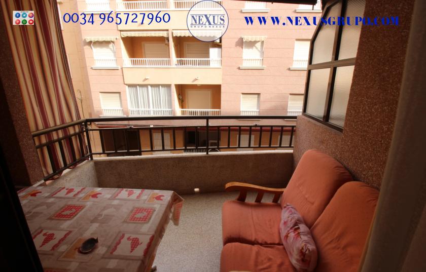 INMOBILIARIA GRUPO NEXUS RENT APARTMENT IN CALLE DE LA PAZ GUARDAMAR DEL SEGURA in Nexus Grupo