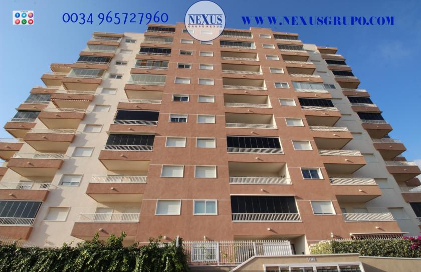 INMOBILIARIA, GRUPO NEXUS ALQUILA APARTAMENTO PARA TODO EL AÑO, CALLE JESÚS LUCAS MACIA in Nexus Grupo