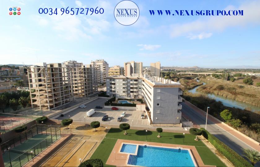 INMOBILIARIA, GRUPO NEXUS ALQUILA APARTAMENTO PARA TODO EL AÑO, CALLE JESÚS LUCAS MACIA in Nexus Grupo