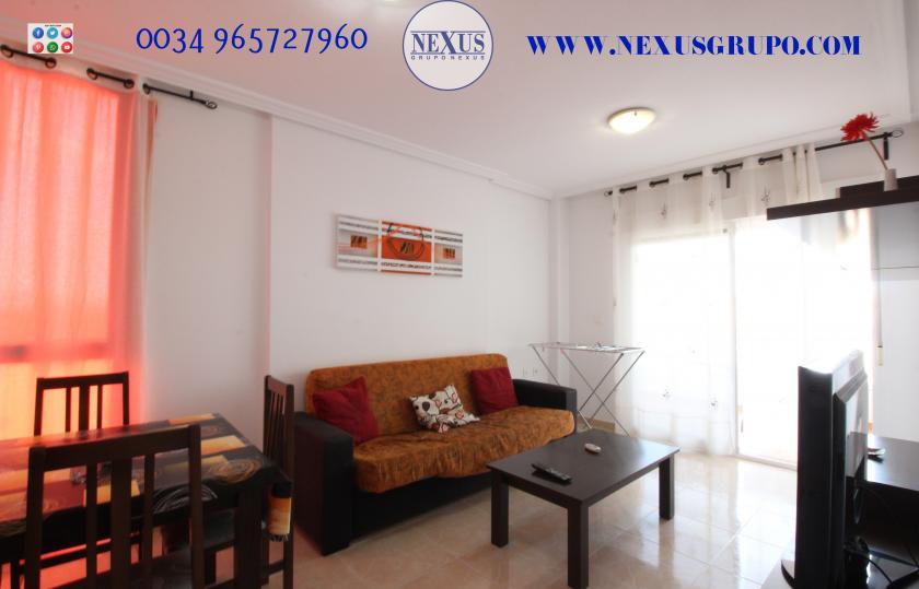 INMOBILIARIA, GRUPO NEXUS ALQUILA APARTAMENTO PARA TODO EL AÑO, CALLE JESÚS LUCAS MACIA in Nexus Grupo