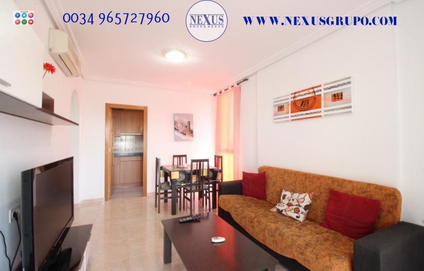 INMOBILIARIA, NEXUS GROUP RENT AN APARTMENT FOR THE WHOLE YEAR, JESÚS LUCAS MACIA STREET in Nexus Grupo