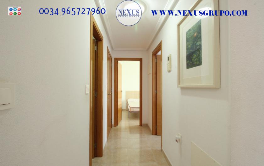 INMOBILIARIA, NEXUS GROUP RENT AN APARTMENT FOR THE WHOLE YEAR, JESÚS LUCAS MACIA STREET in Nexus Grupo